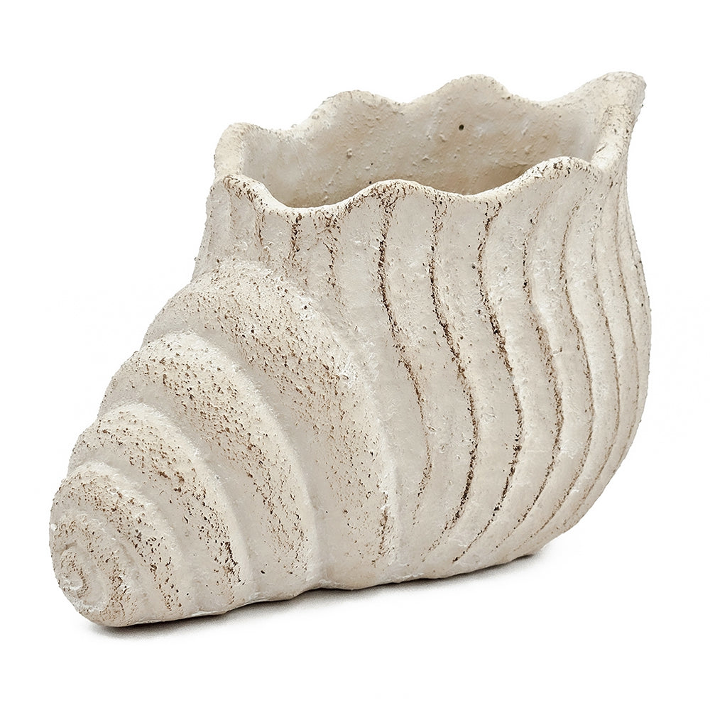 Textured Nautilus Shell Planter