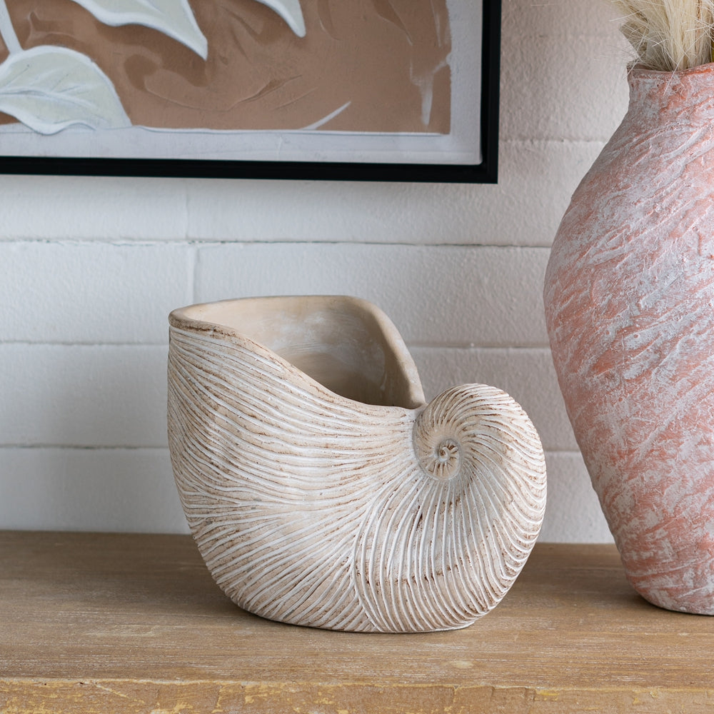 Nautilus Shell Planter