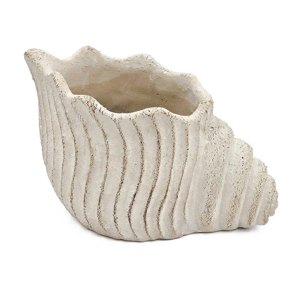 Textured Nautilus Shell Planter