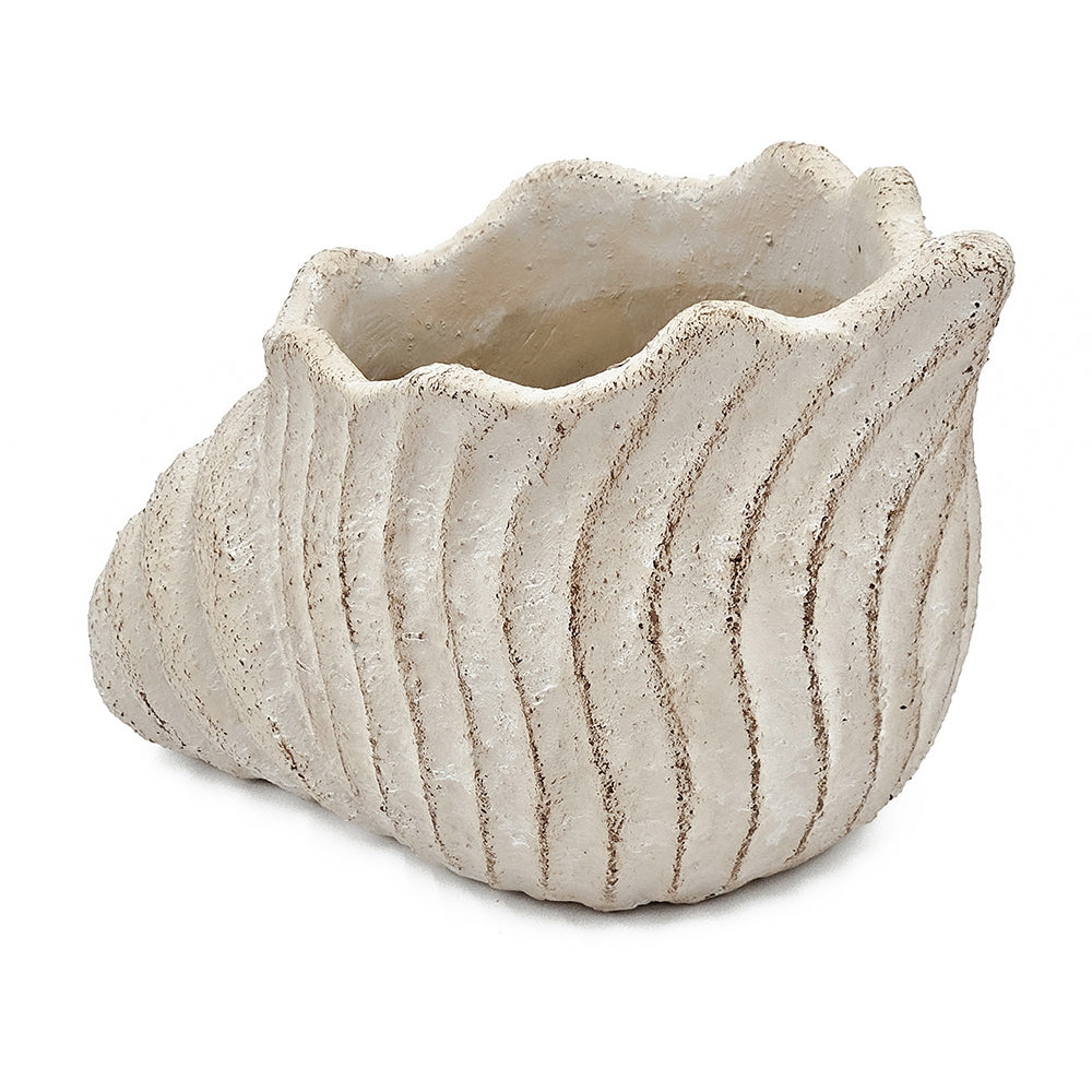 Textured Nautilus Shell Planter