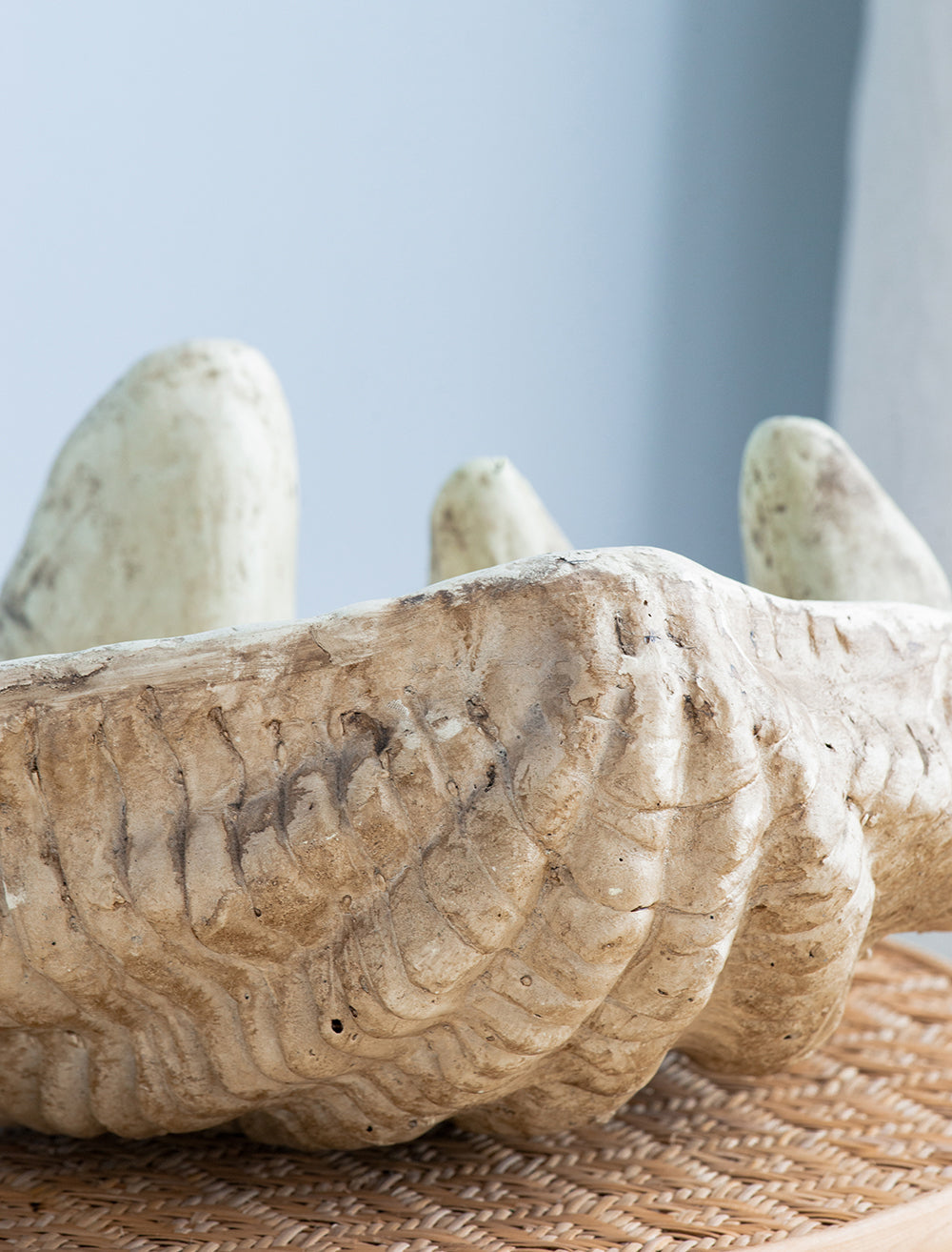 Coastal Clam Shell Accent