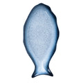 Sky Blue Fish-Shaped Ceramic Serving Plate
