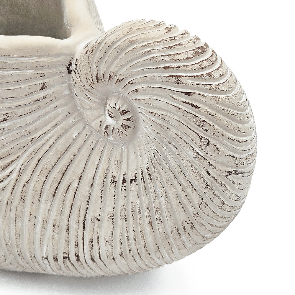 Nautilus Shell Planter