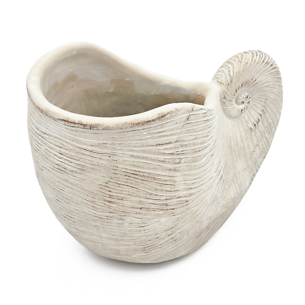 Nautilus Shell Planter