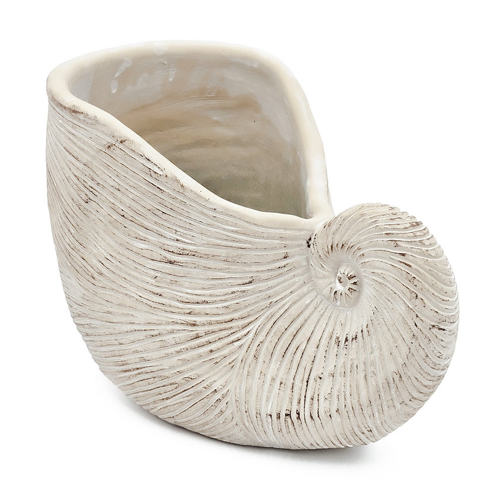 Nautilus Shell Planter