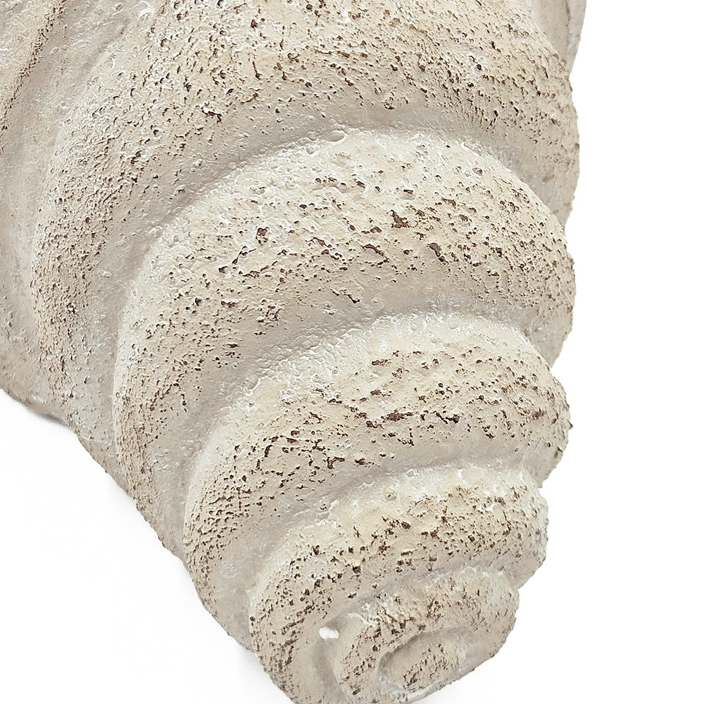 Textured Nautilus Shell Planter