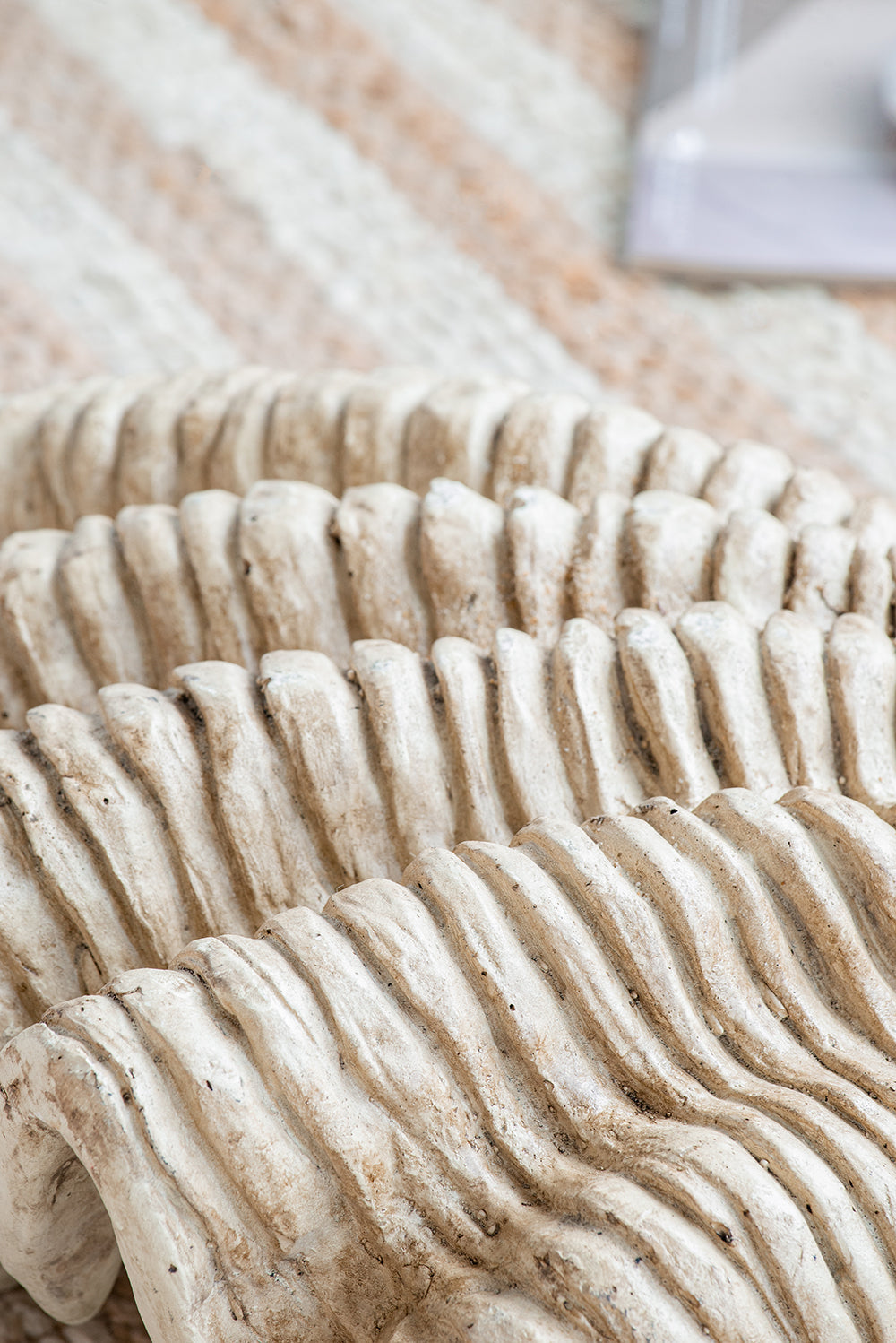 Coastal Clam Shell Accent