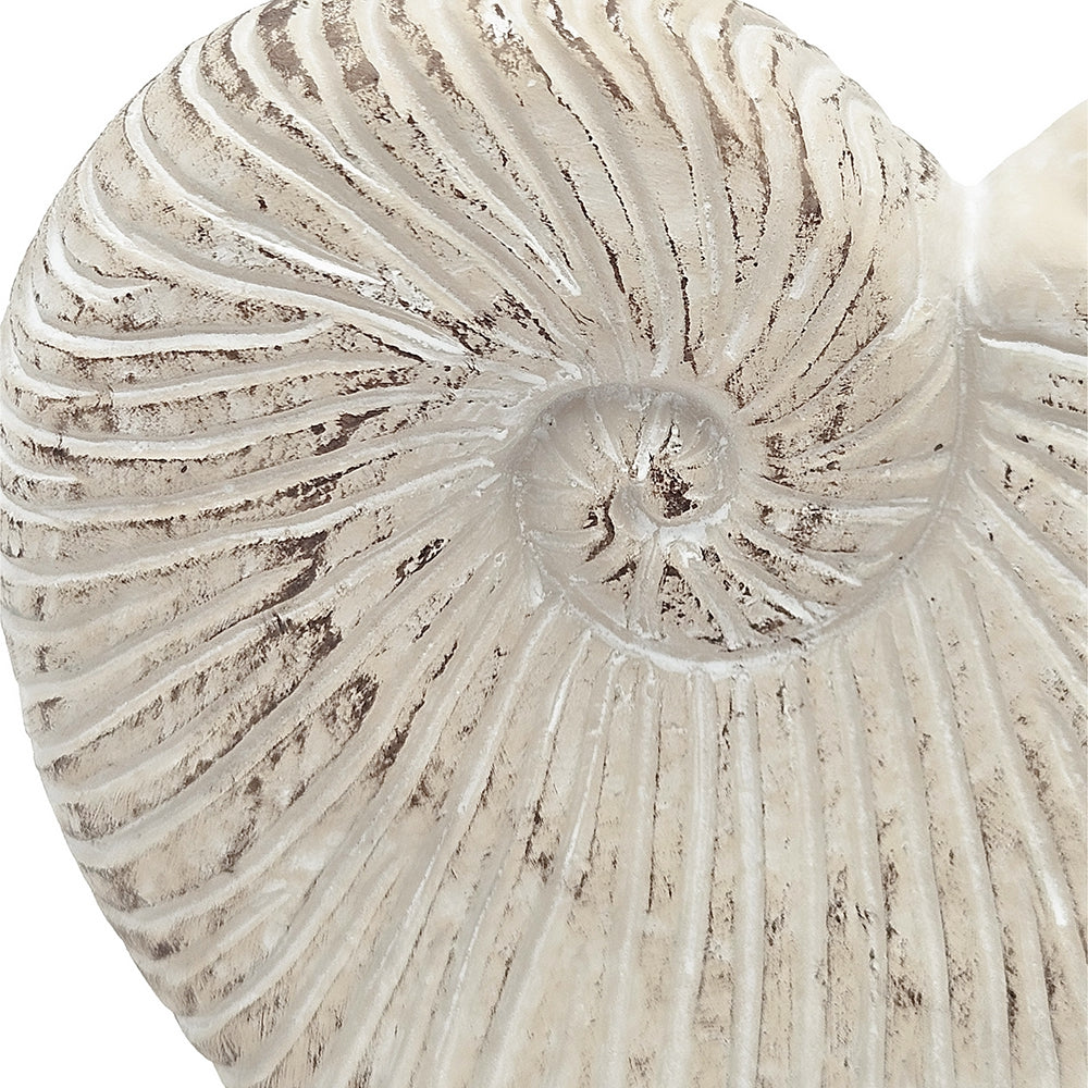 Nautilus Shell Planter