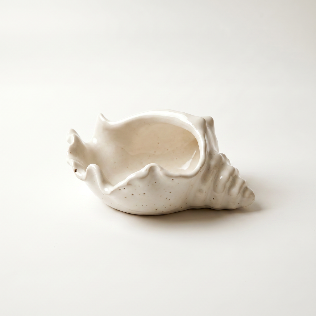 Conch Shell Decorative Bowl - 6"