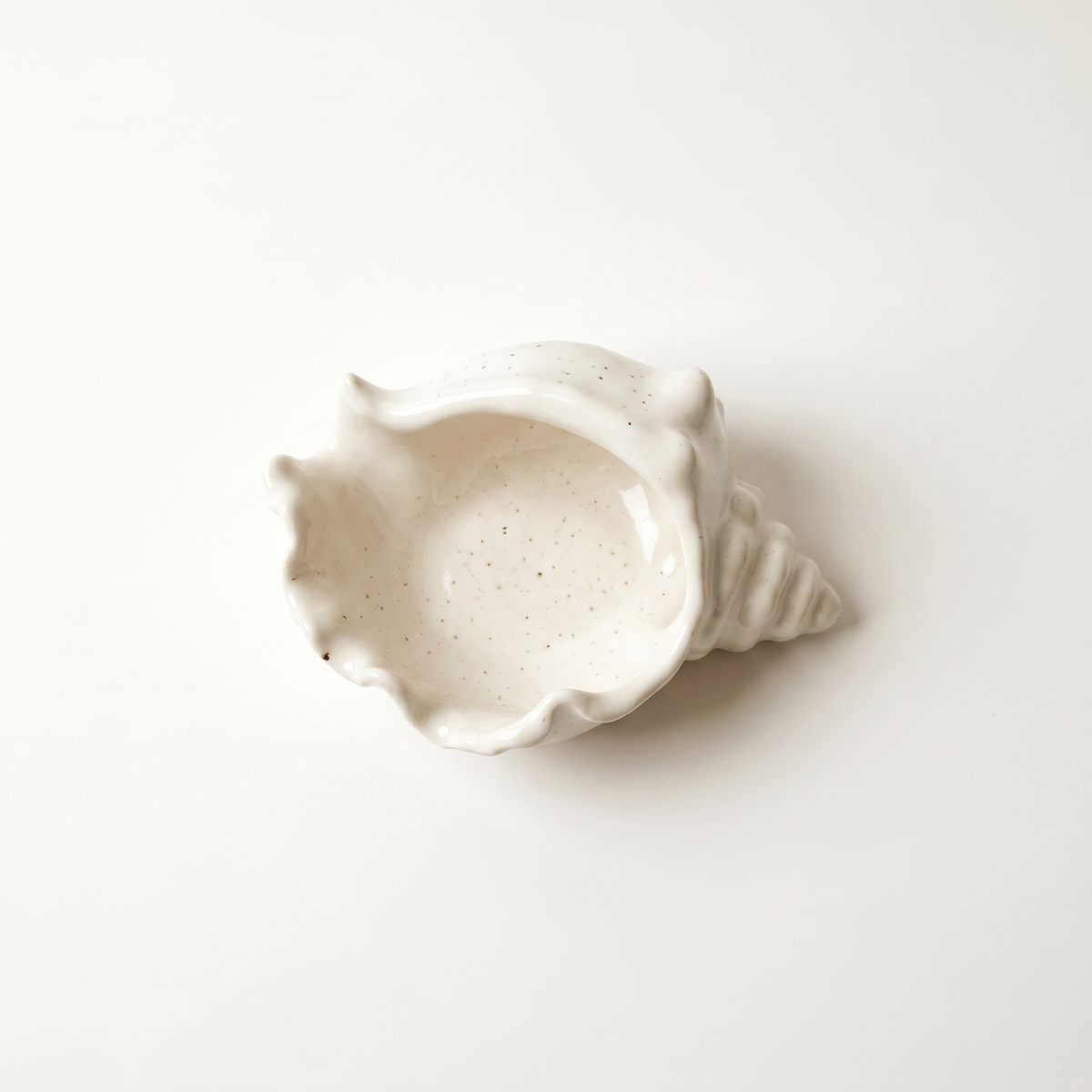 Conch Shell Decorative Bowl - 6"